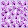 薔薇　紫　背景