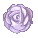 薔薇　紫1　BIG