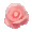 薔薇　ピンク1　BIG