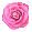薔薇　ピンク3