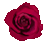 薔薇2　BIG
