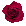 薔薇2